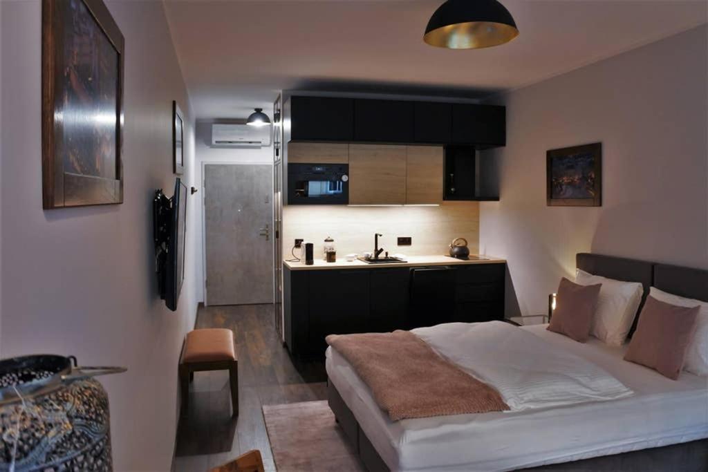 Boutique 109 - Old City, Luxury Apt. With A Garage 克拉科夫 外观 照片